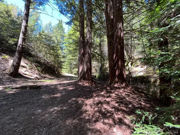 $1,950,000 | 38555 Hauser Bridge Road, Cazadero, CA 95421
