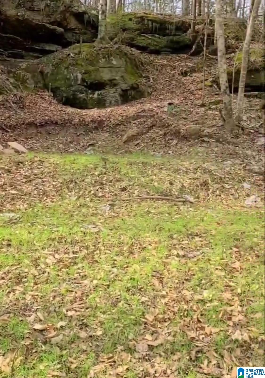 2 County Road 2, Unit 50 / ACRES Double Springs, AL 35553 - Photo 15 of 79