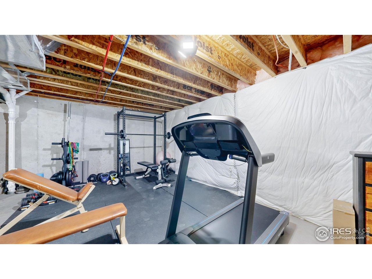 511 Wind River Drive Windsor, CO 80550 - Photo 21 of 22