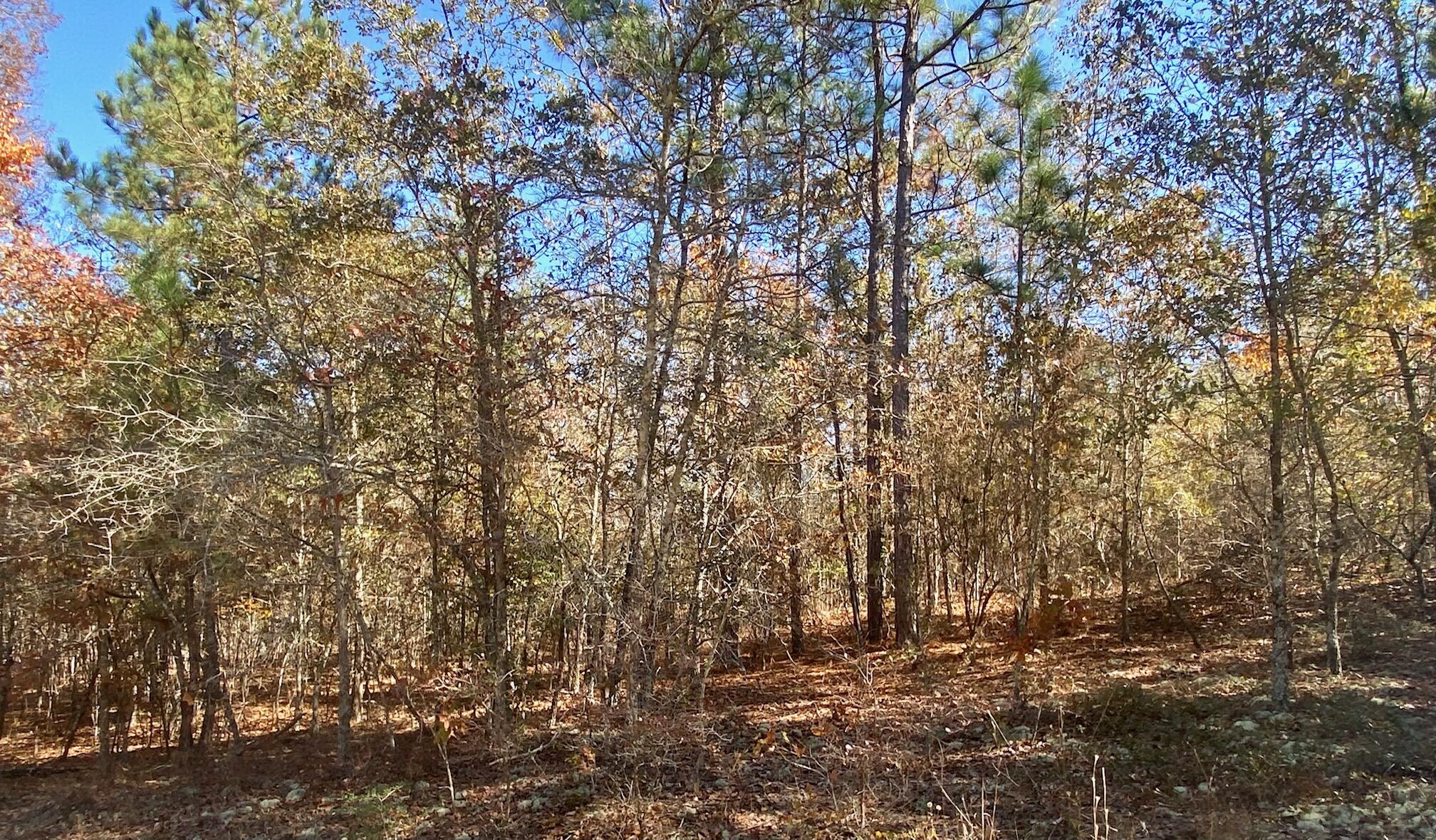 Lot A Emerson Road Aiken, SC 29801 - Photo 2 of 5