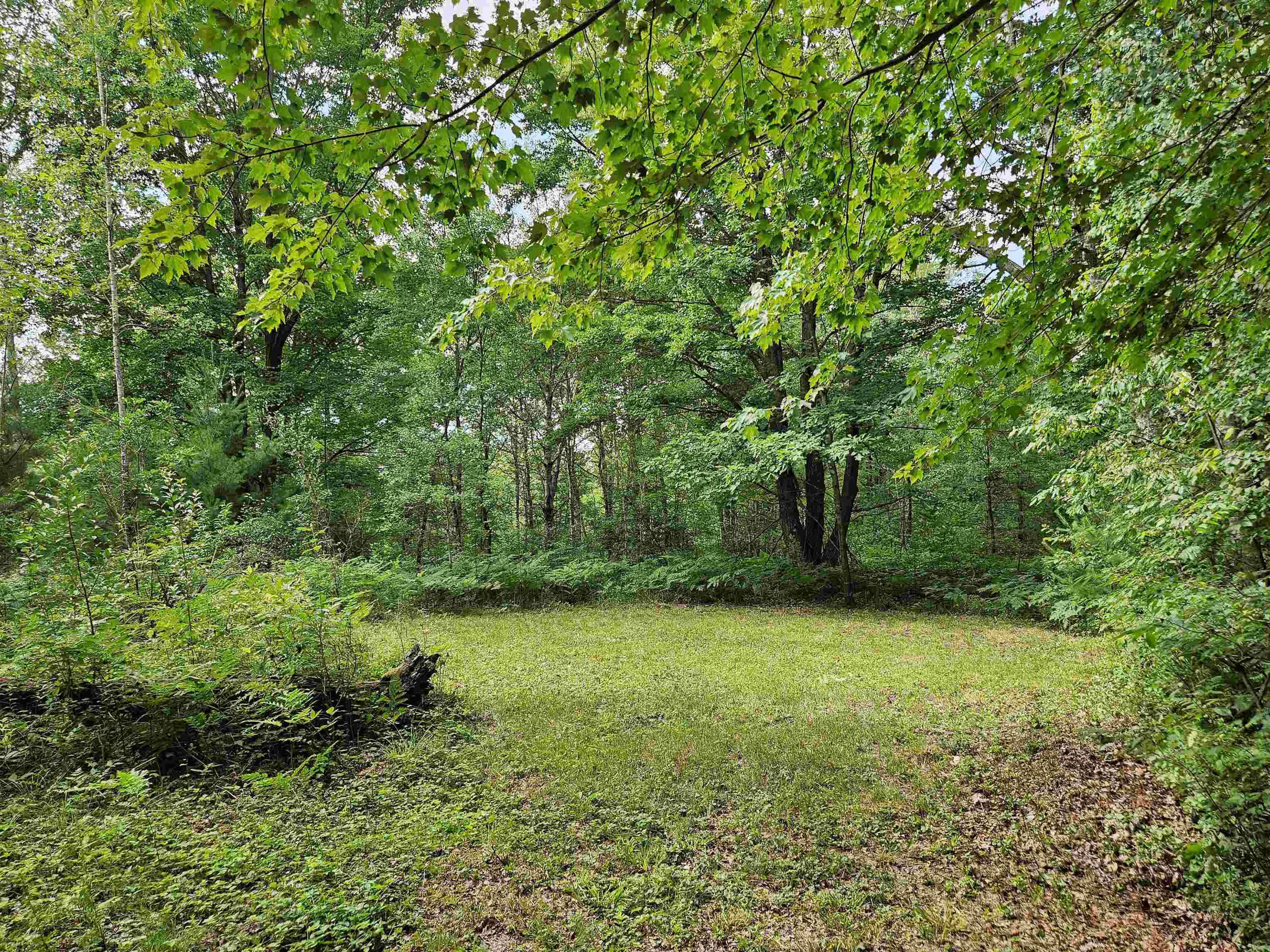 360 7 Mile Road Sears, MI 49679 - Photo 51 of 53