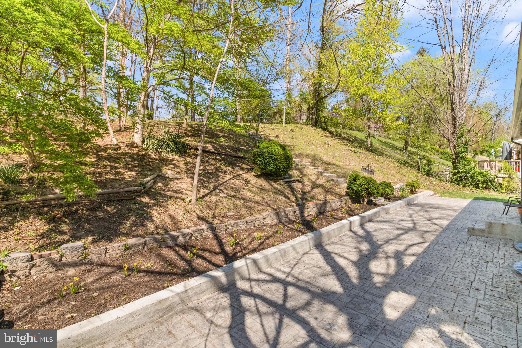 7516 Essex Avenue Springfield, VA 22150 - Photo 26 of 36 a view of a yard