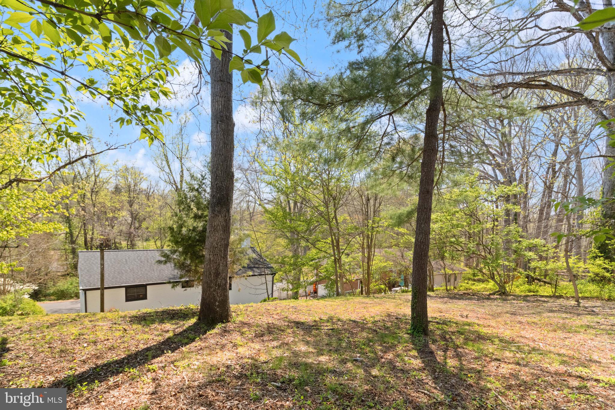 7516 Essex Avenue Springfield, VA 22150 - Photo 30 of 36 a view of a yard with plants and trees