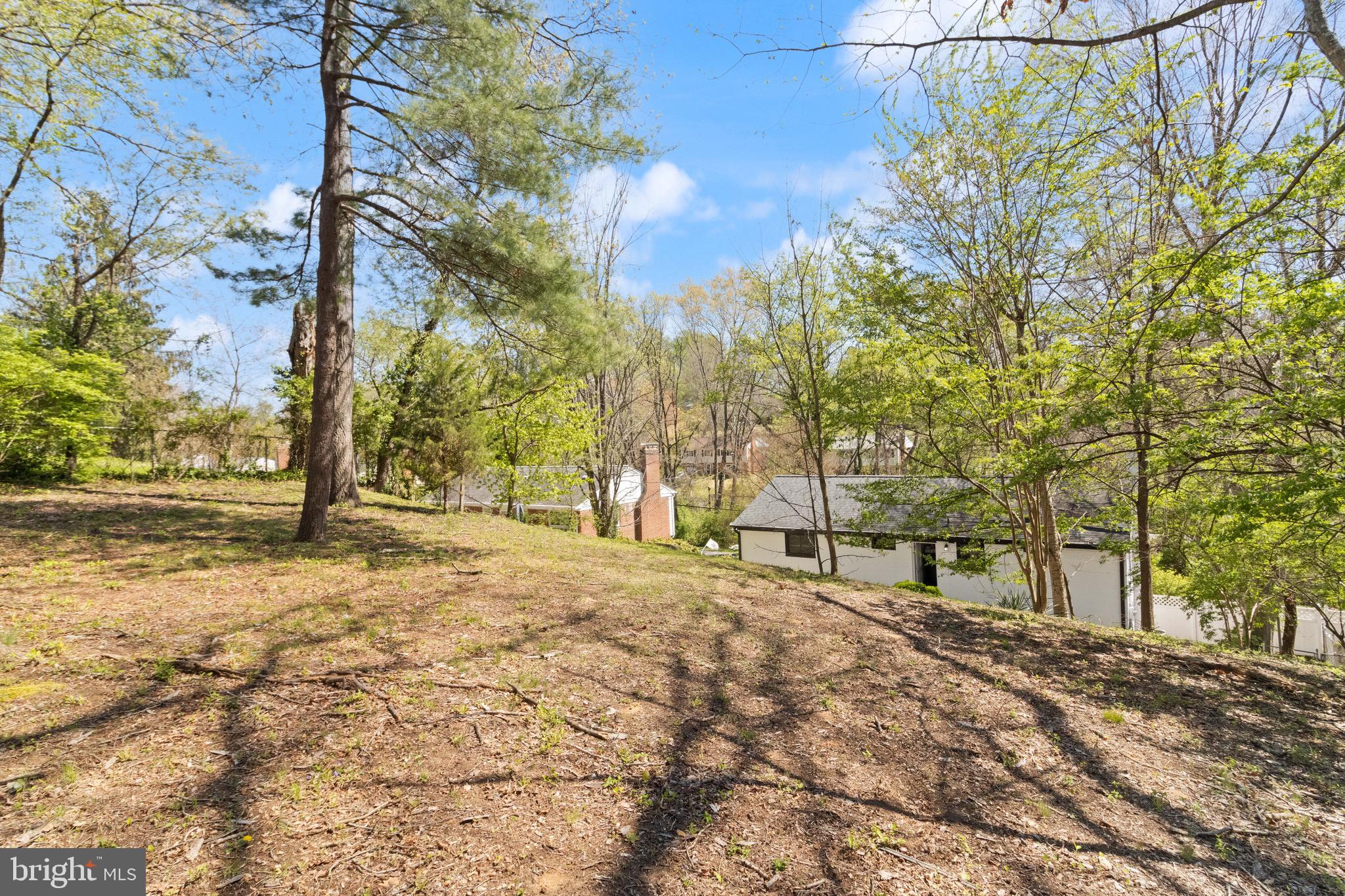 7516 Essex Avenue Springfield, VA 22150 - Photo 31 of 36 a view of backyard of the house