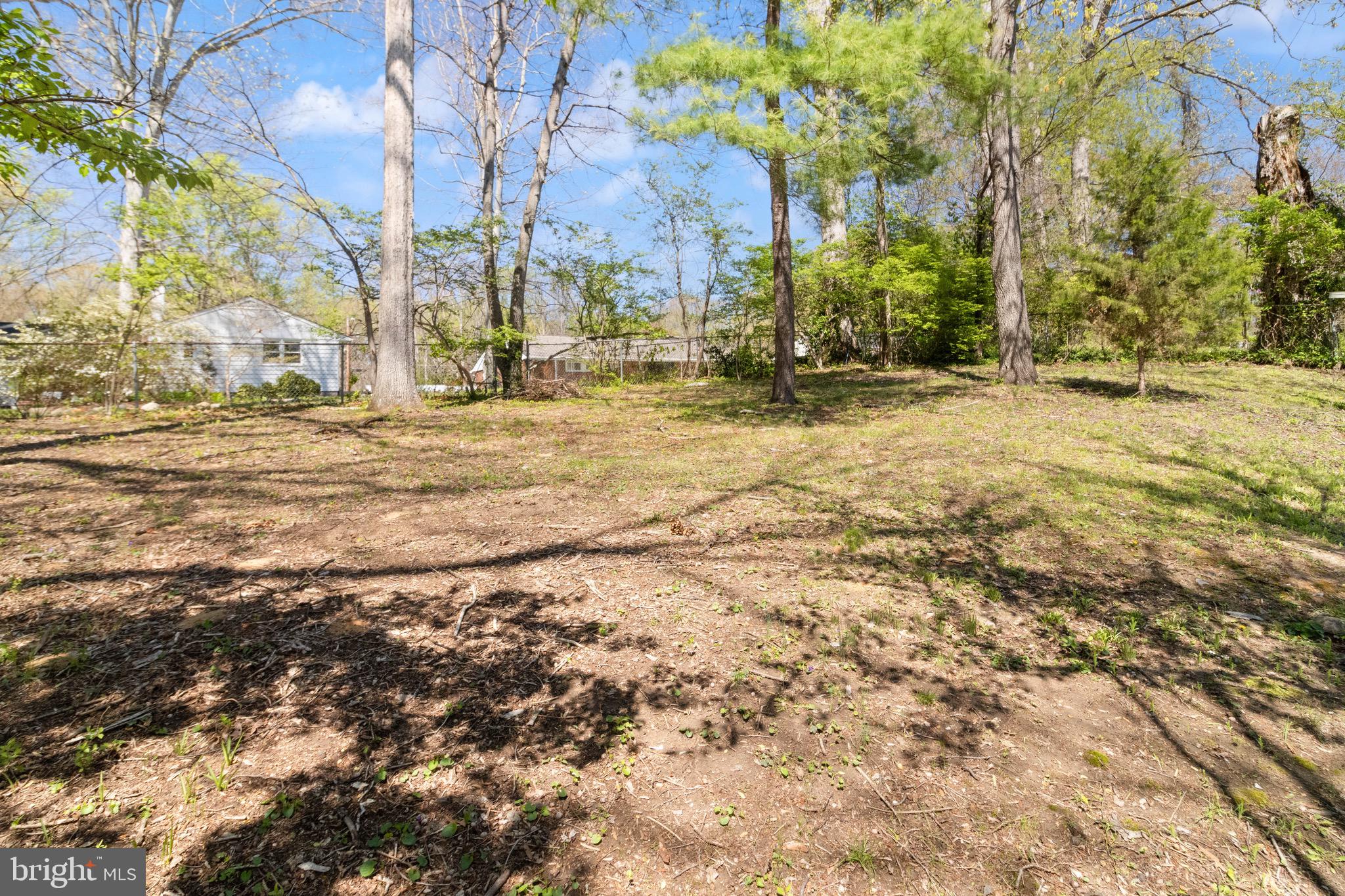 7516 Essex Avenue Springfield, VA 22150 - Photo 32 of 36 a view of road with large trees