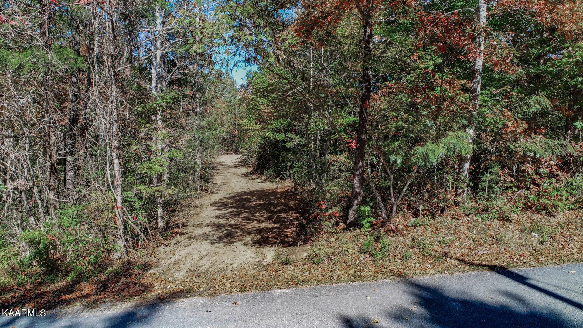 Lot 3 Fancher Road Newport, TN 37821 - Photo 4 of 27 4