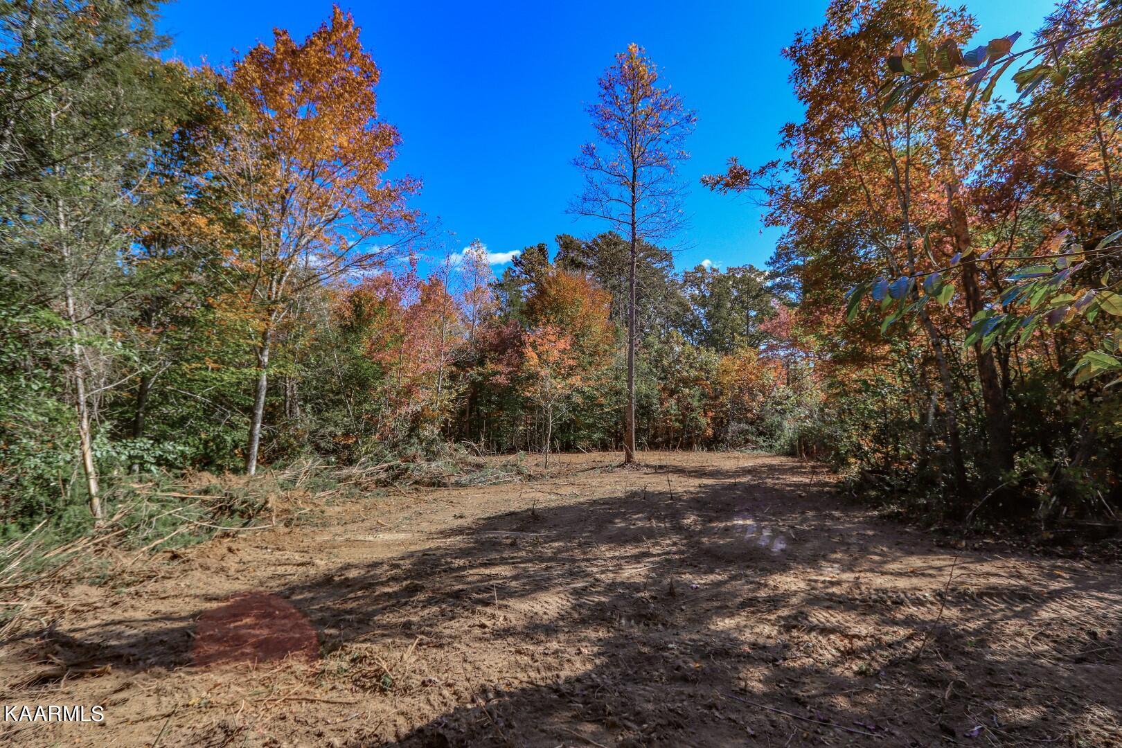 Lot 3 Fancher Road Newport, TN 37821 - Photo 8 of 27 8