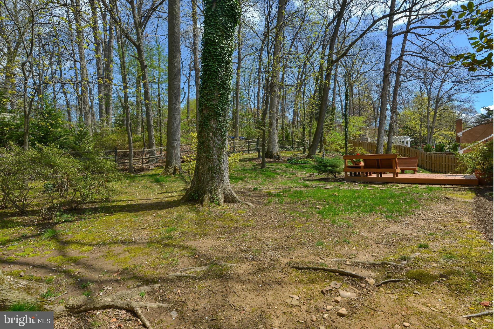 7303 Fort Hunt Road Alexandria, VA 22307 - Photo 29 of 30 a view of swimming pool and trees in the background
