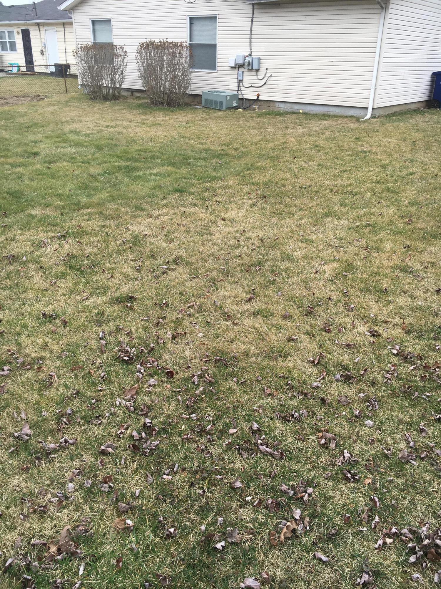 1373 Evergreen Road Columbus, OH 43207 - Photo 8 of 8 Gallery Image 8