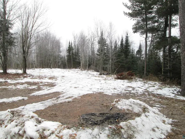 $99,000 | 40-acre Lot 1 40-acre, South Range, WI 54874