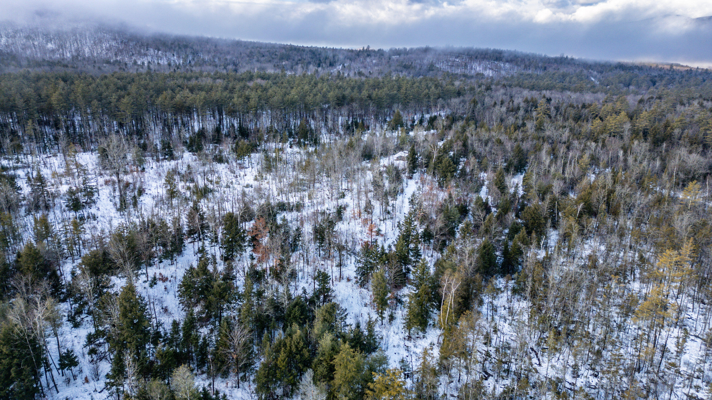 Lot 7-001 Crouse Road Bethel, ME 04217 - Photo 17 of 21 20241217gp-61016