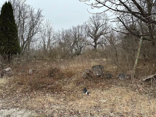 $20,000 | 509 Oxford Place, Lockport, IL 60441