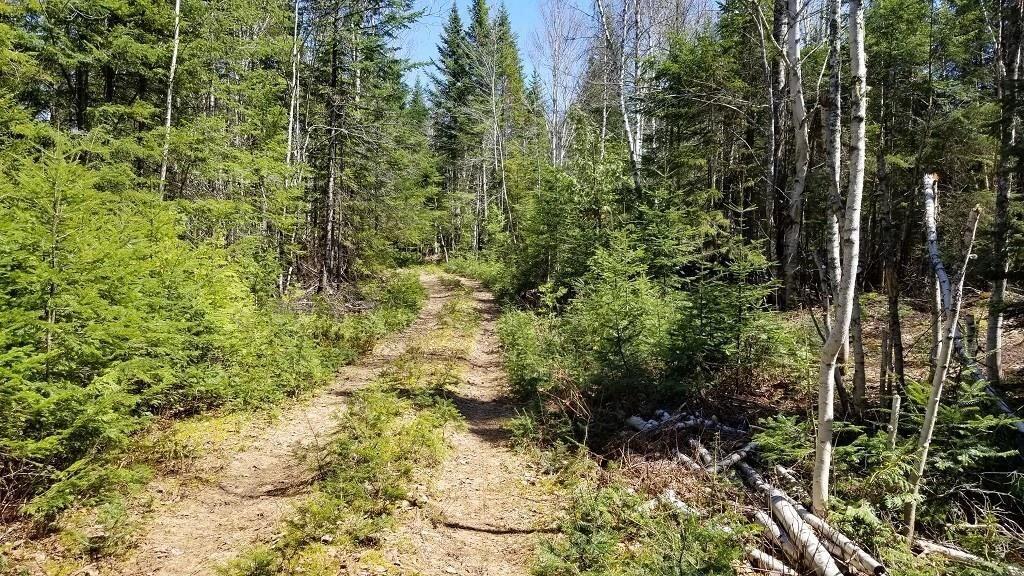 14-15 Haynes Road Wytopitlock, ME 04497 - Photo 3 of 31 a Driveway 1