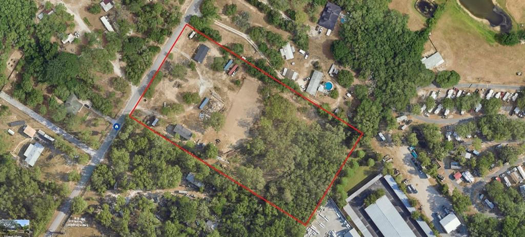 12414 Choctaw Trail Hudson, FL 34669 - Photo 3 of 3 a picture of tree