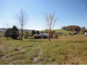 335 C D Williams Road Limestone, TN 37681 - Photo 2 of 9 Photo 2