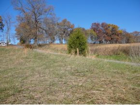 335 C D Williams Road Limestone, TN 37681 - Photo 3 of 9 Photo 3