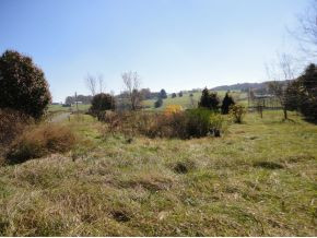 335 C D Williams Road Limestone, TN 37681 - Photo 4 of 9 Photo 4