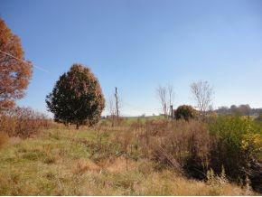 335 C D Williams Road Limestone, TN 37681 - Photo 5 of 9 Photo 5