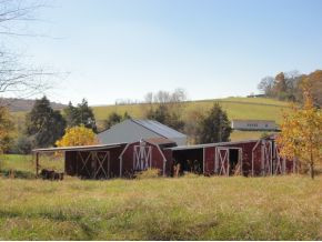335 C D Williams Road Limestone, TN 37681 - Photo 6 of 9 GARAGESTORAGE BUILDING