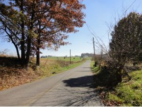 335 C D Williams Road Limestone, TN 37681 - Photo 7 of 9 VIEW OF ROAD