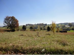 335 C D Williams Road Limestone, TN 37681 - Photo 8 of 9 Photo 8