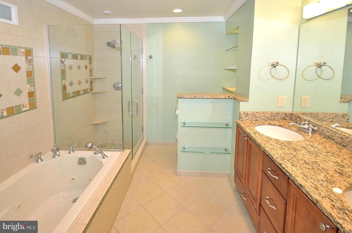 7290 Olde Lantern Way Springfield, VA 22152 - Photo 11 of 21 Bath (Master)