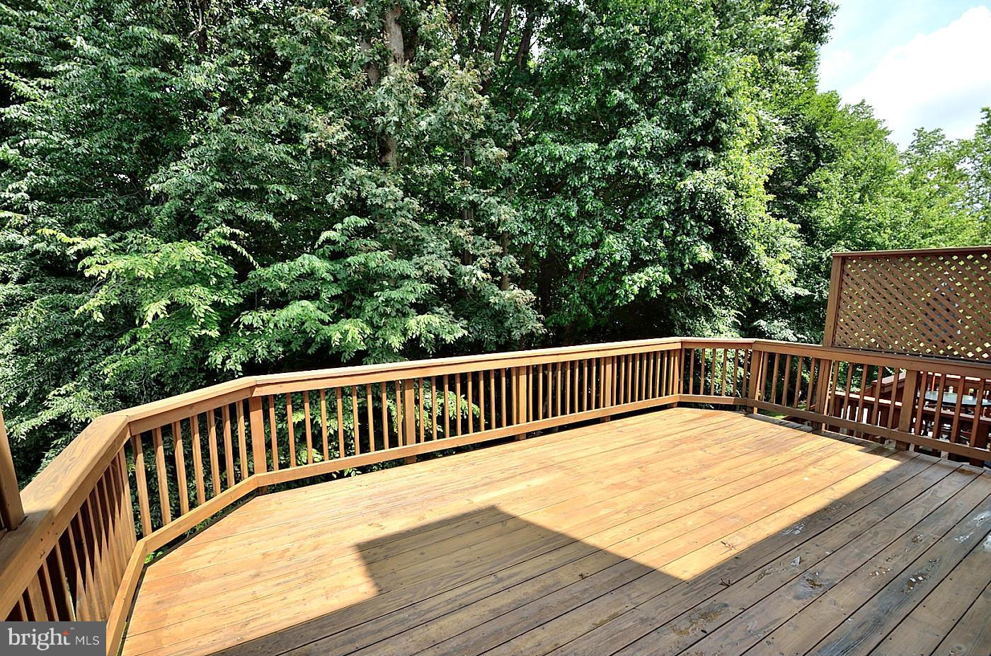 7290 Olde Lantern Way Springfield, VA 22152 - Photo 19 of 21 Exterior (Rear)