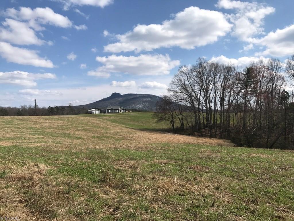 7.5 Whitaker Road, Unit 7 5 Pinnacle, NC 27043 - Photo 3 of 13