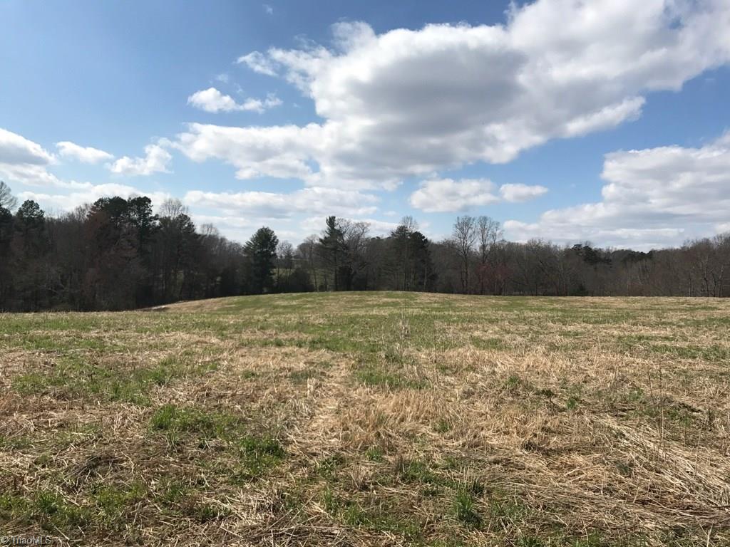 7.5 Whitaker Road, Unit 7 5 Pinnacle, NC 27043 - Photo 8 of 13
