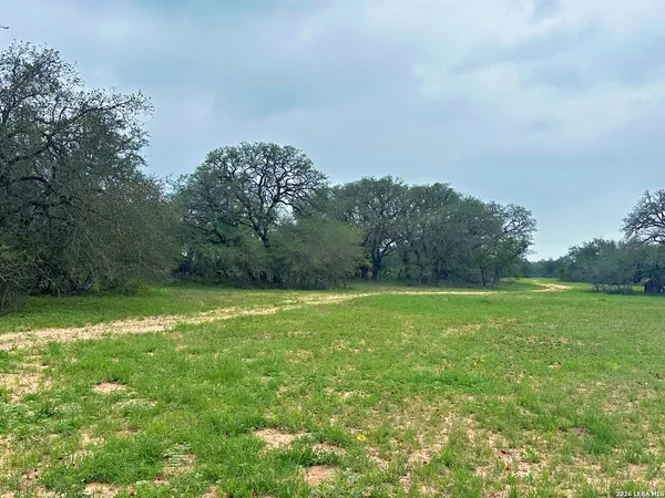 a view of a green yard
