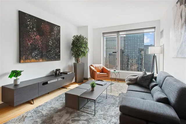a living room with furniture potted plant and a window