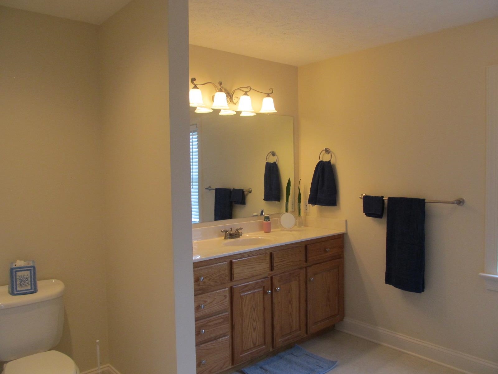 458 St James Road Fishersville, VA 22939 - Photo 21 of 61 a bathroom with a toilet sink and mirror