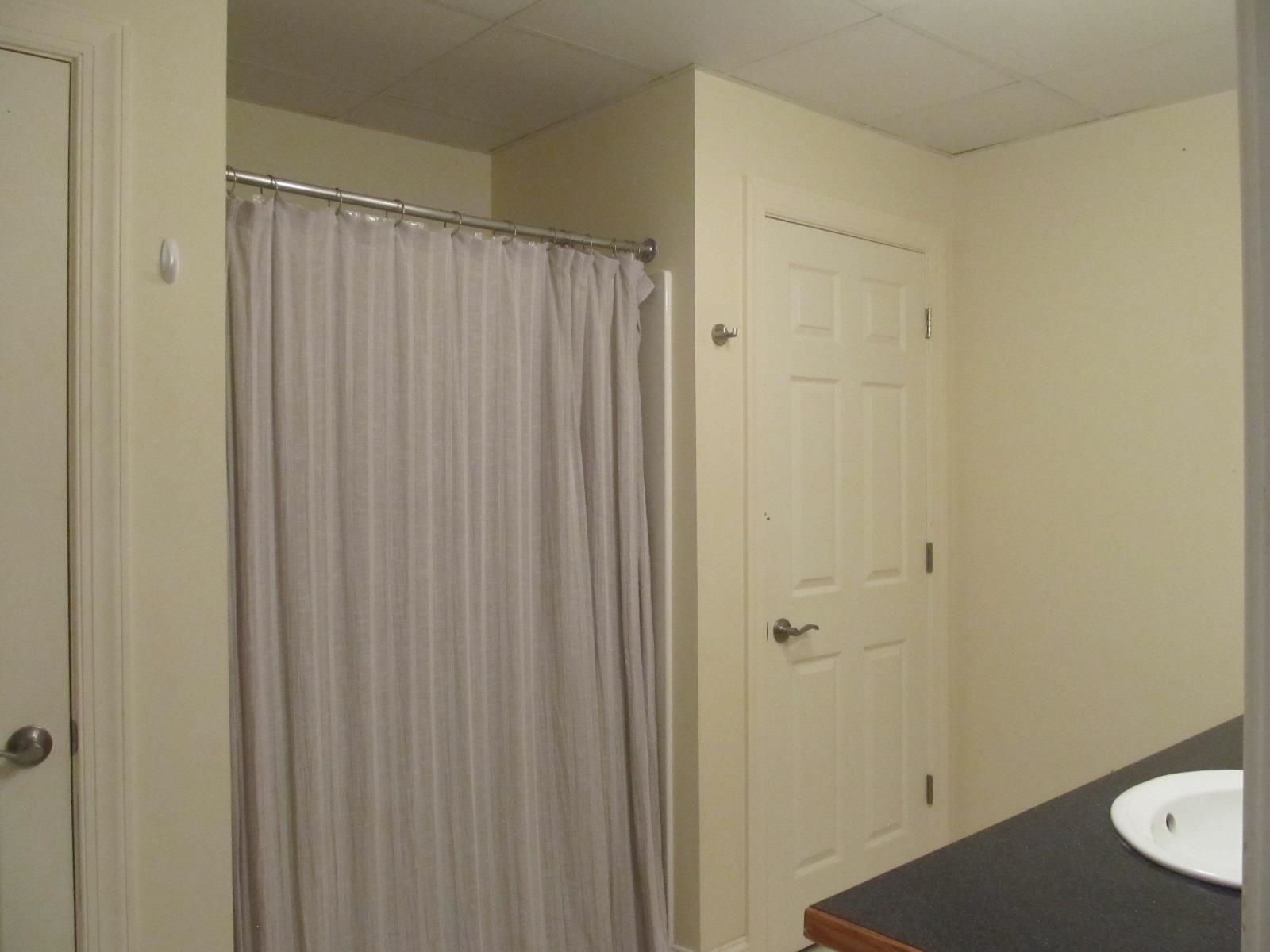 458 St James Road Fishersville, VA 22939 - Photo 27 of 61 a bathroom with a shower and a sink