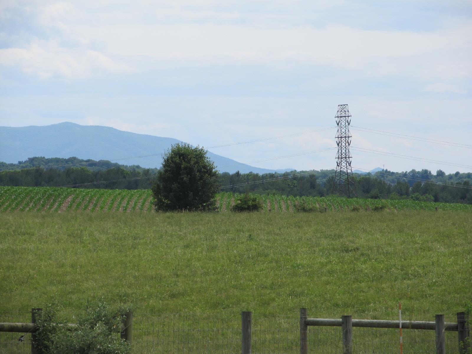 458 St James Road Fishersville, VA 22939 - Photo 49 of 61 a view of a lake with a mountain in the background