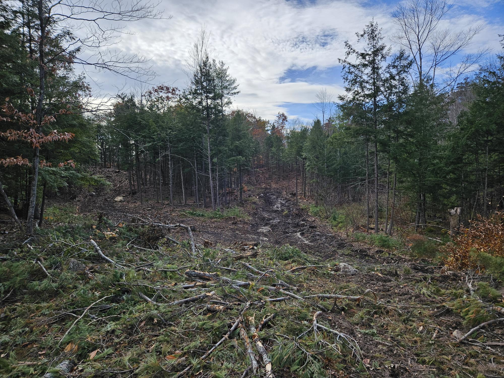 11 Old Alfred Road Waterboro, ME 04087 - Photo 25 of 38 20231103_120358