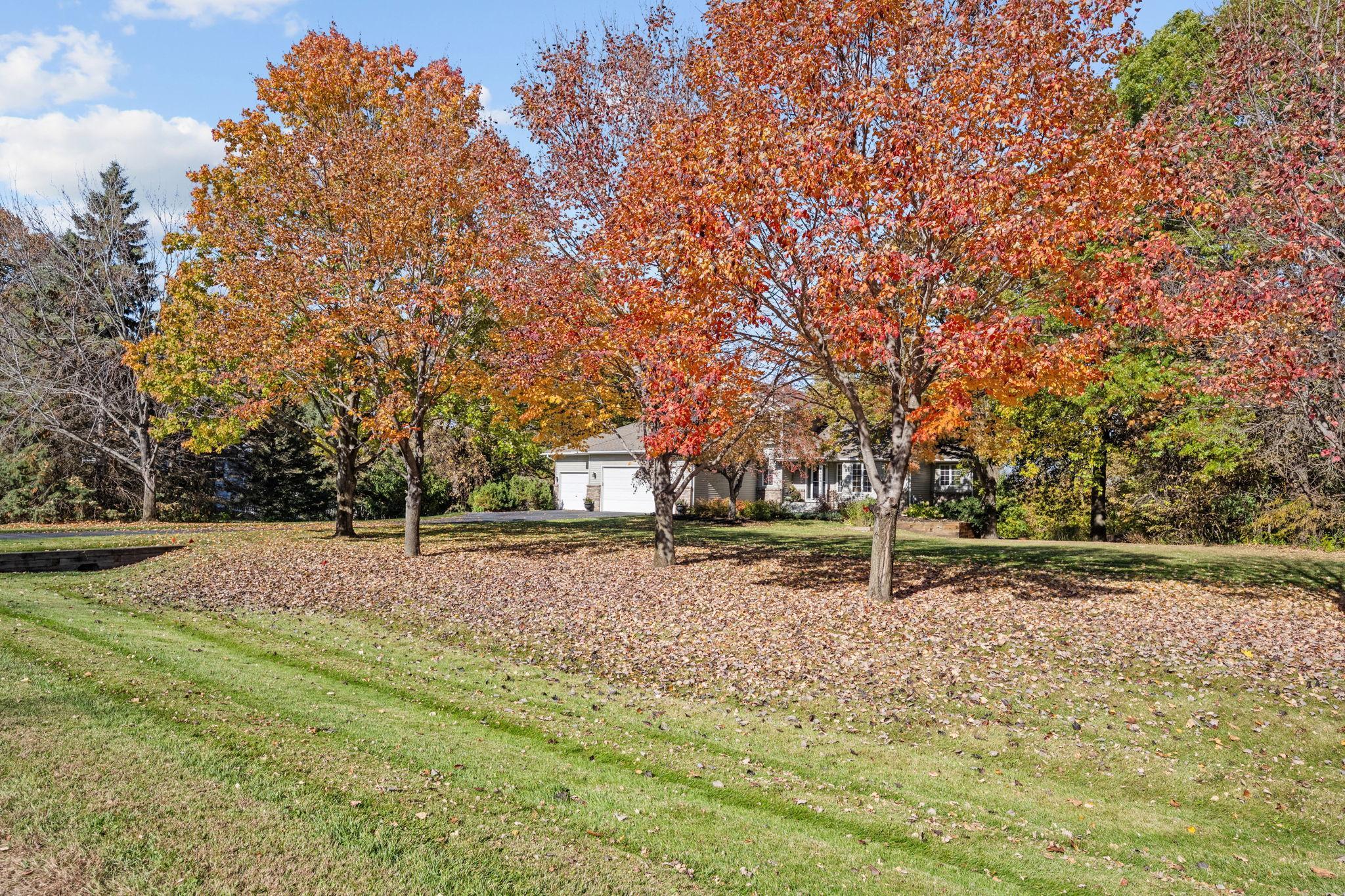 23000 Heather Ridge Drive Rogers, MN 55374 - Photo 18 of 70