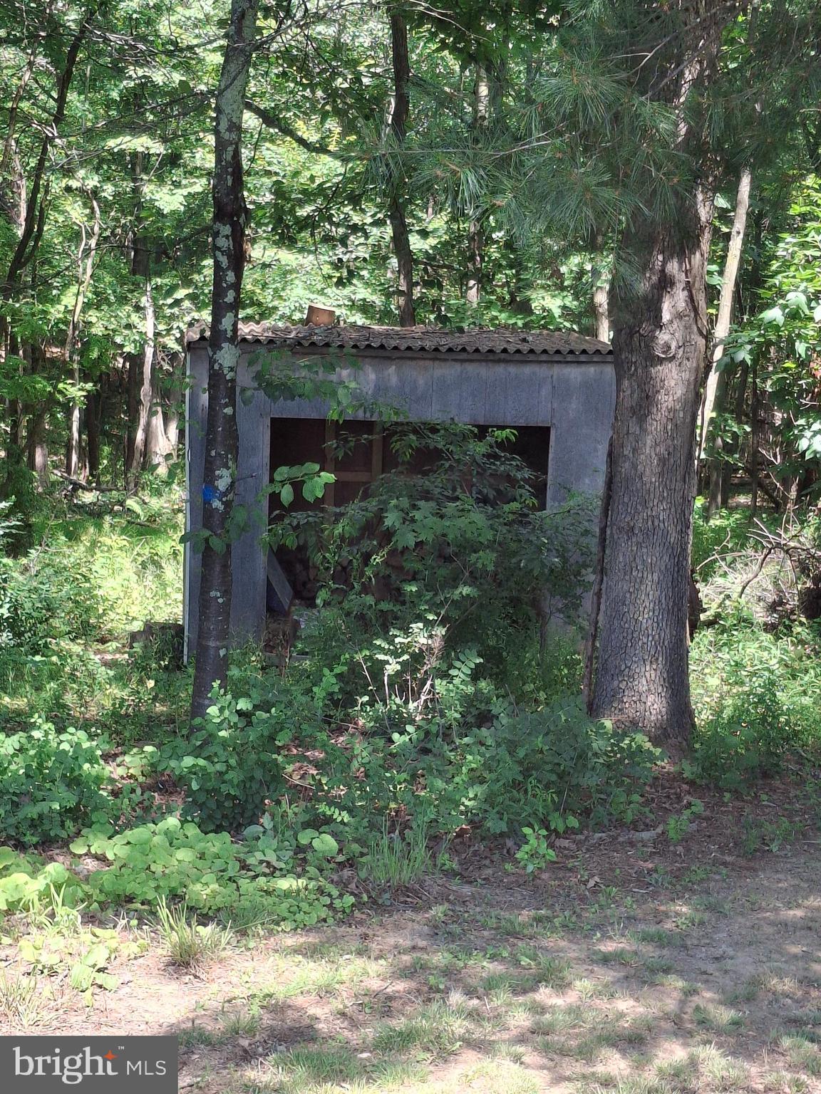 2334 Ash Ruckman Road Augusta, WV 26704 - Photo 10 of 72 Wood Shed