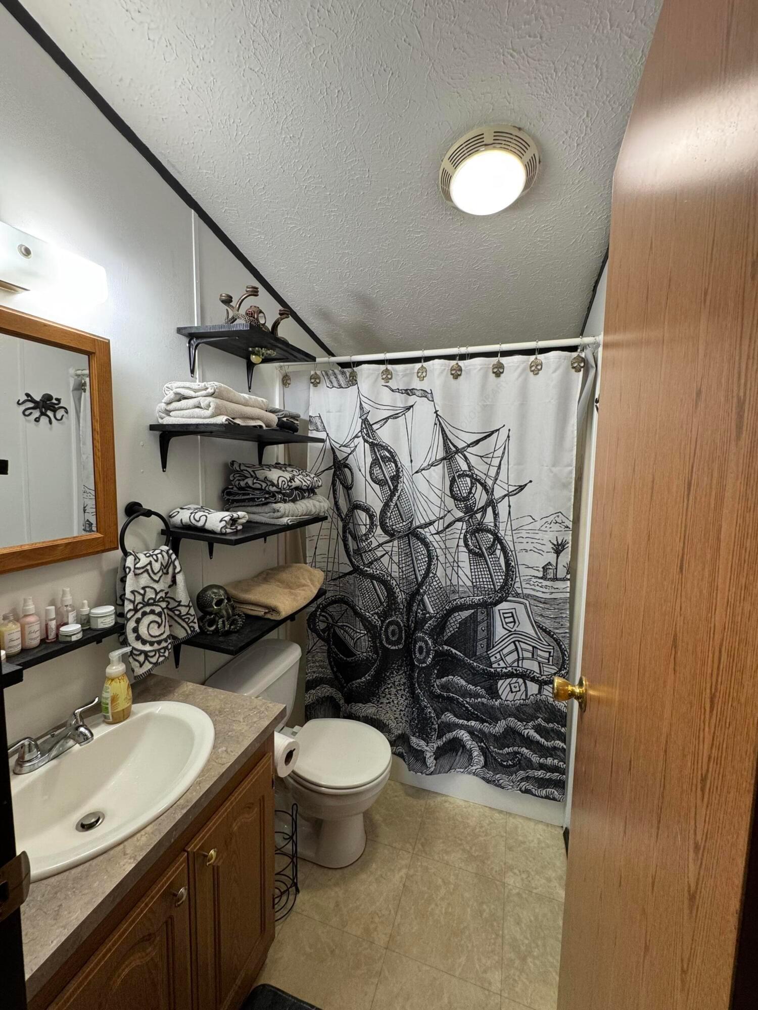 26220 Mill Road Utica, OH 43080 - Photo 18 of 36 Guest bath