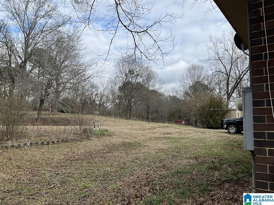 474 Cobb Street Oakman, AL 35579 - Photo 21 of 23