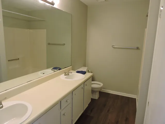 a bathroom with a sink and a toilet