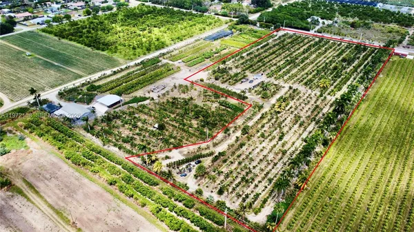 a view of a yard with plants
