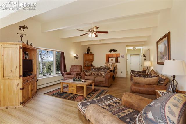 106 Agate Road Florissant, CO 80816 - Photo 8 of 41