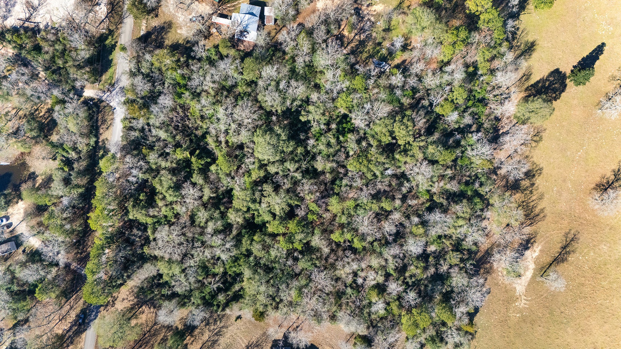 15685 McKay Road Willis, TX 77378 - Photo 17 of 21