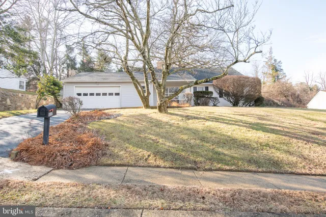 a view of a yard with trees