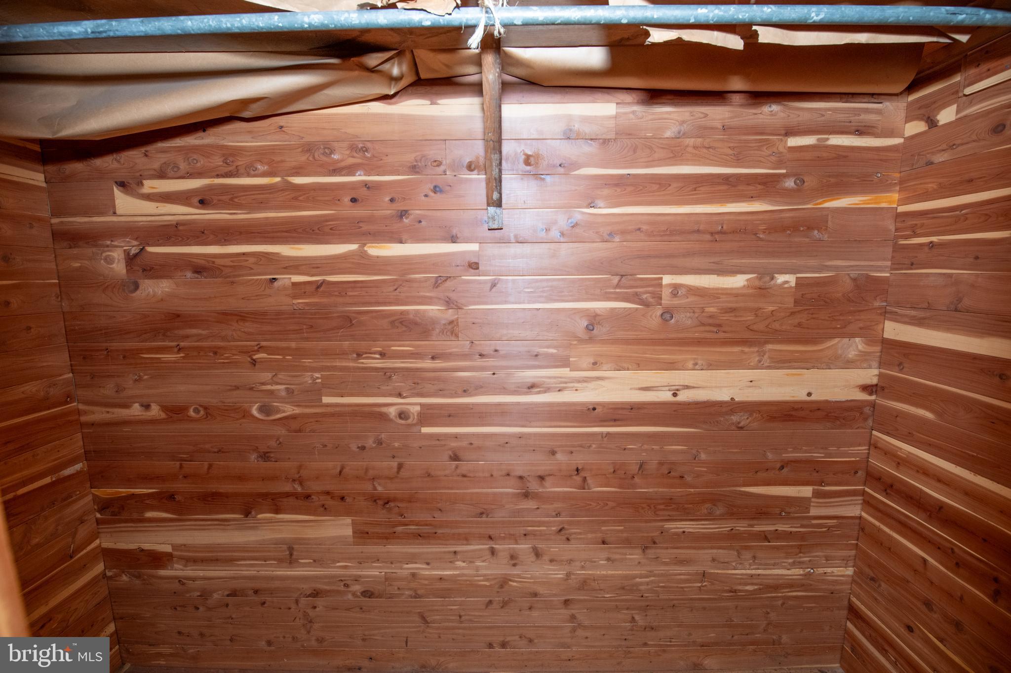 8810 Tyson Road Glenside, PA 19038 - Photo 52 of 53 a bathroom with a shower