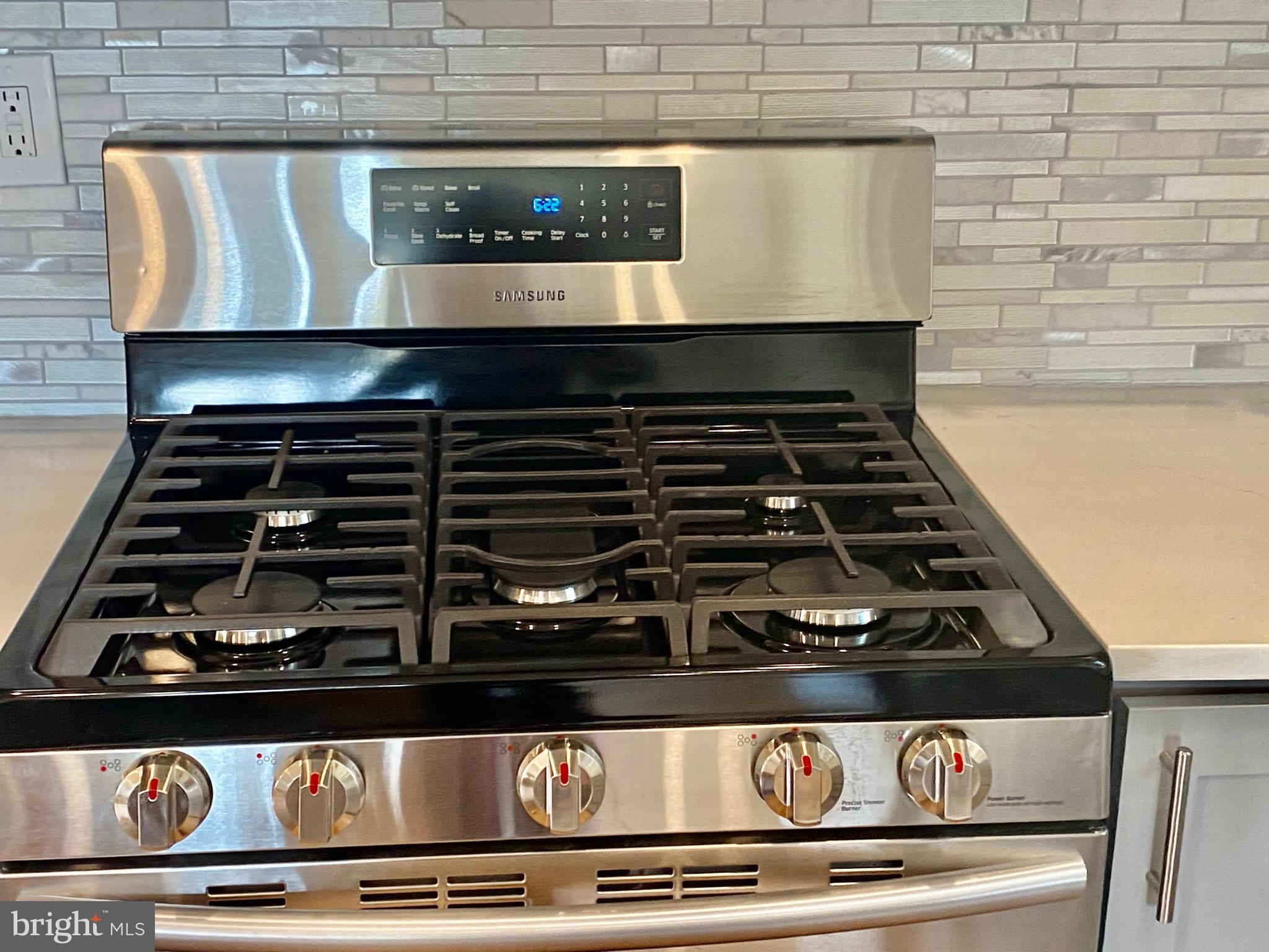 10007 Portland Road Silver Spring, MD 20901 - Photo 14 of 41 GOURMET GAS STOVE