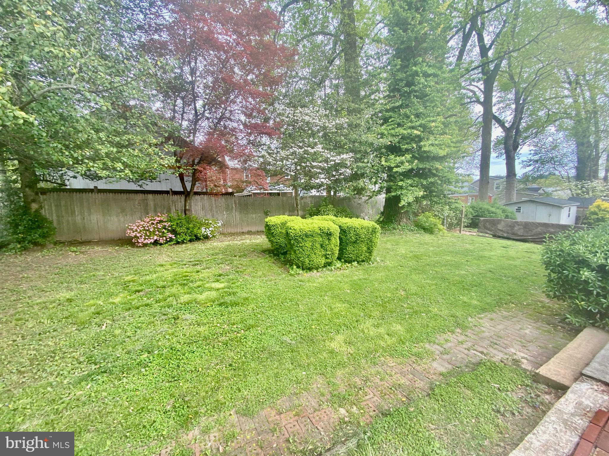 10007 Portland Road Silver Spring, MD 20901 - Photo 36 of 41 BEAUTIFULLY LARGE LANDSCAPED BACKYARD