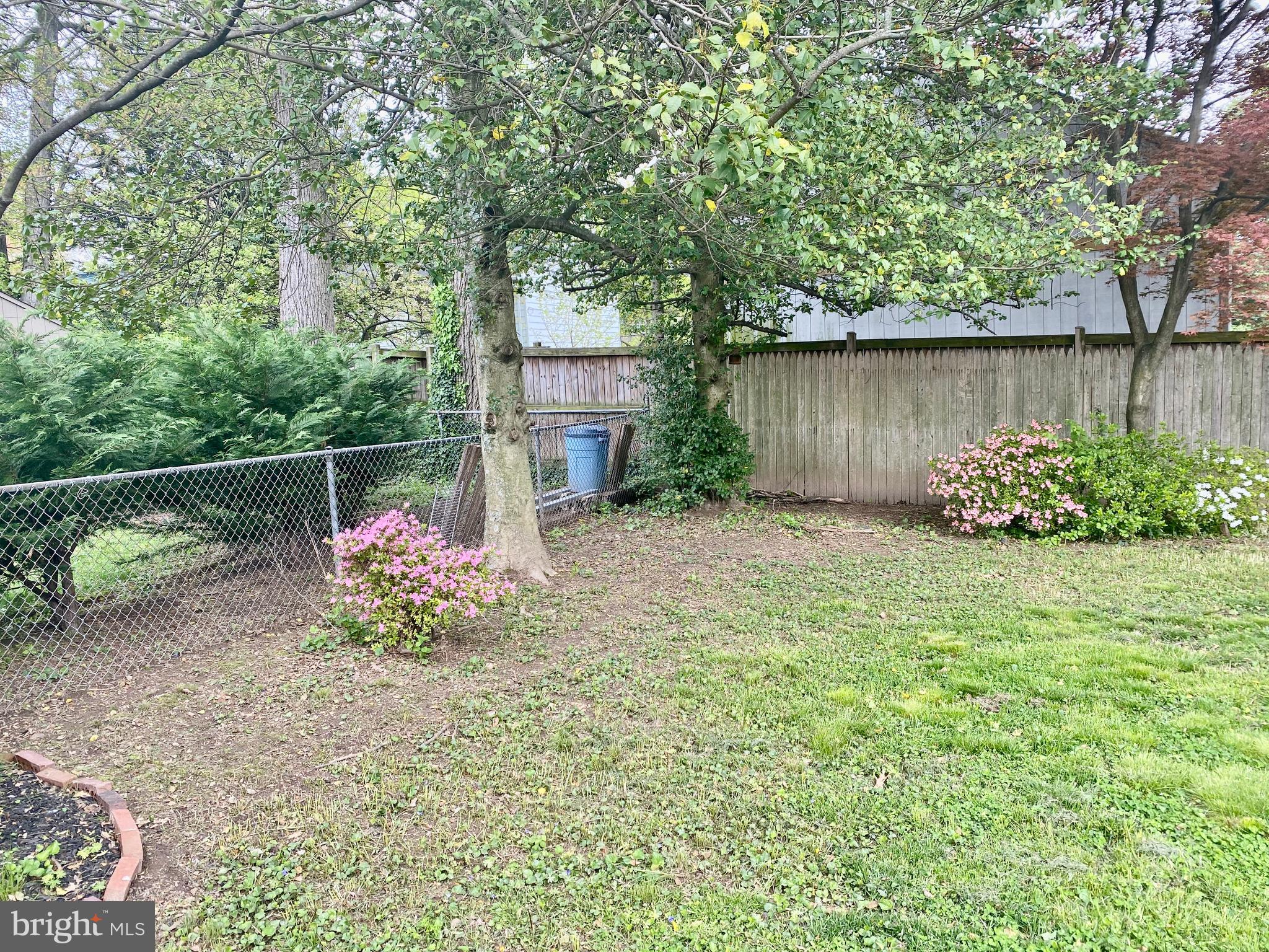 10007 Portland Road Silver Spring, MD 20901 - Photo 37 of 41 VIEW OF BACKYARD