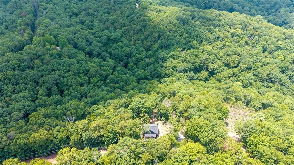1390 Foxhound Trail Northeast Ranger, GA 30734 - Photo 34 of 39