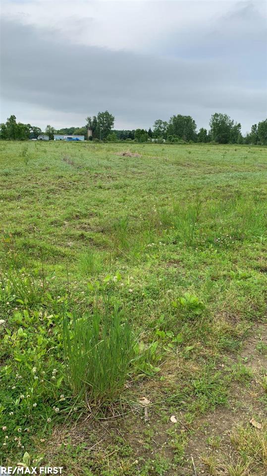 0 Connell Road Yale, MI 48097 - Photo 19 of 22